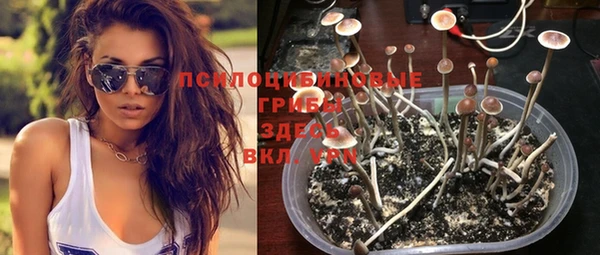 прущая мука Алексин