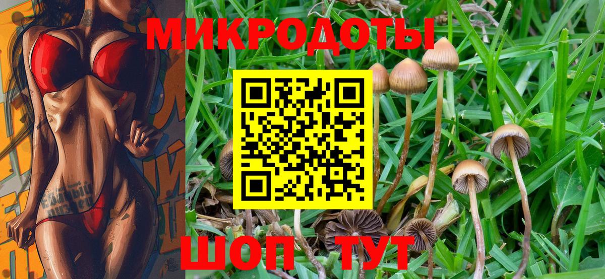 Галлюциногенные грибы мухоморы Карабулак