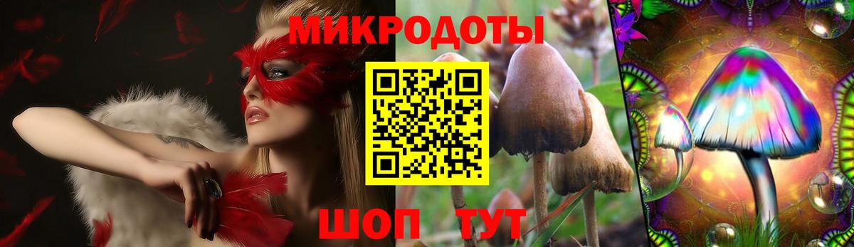 Карабулак  Псилоцибиновые грибы мухоморы  Вход с VPN 